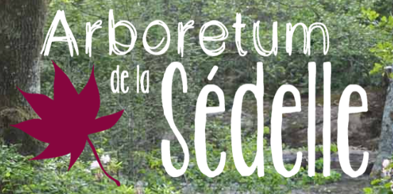 Arboretum de la Sédelle