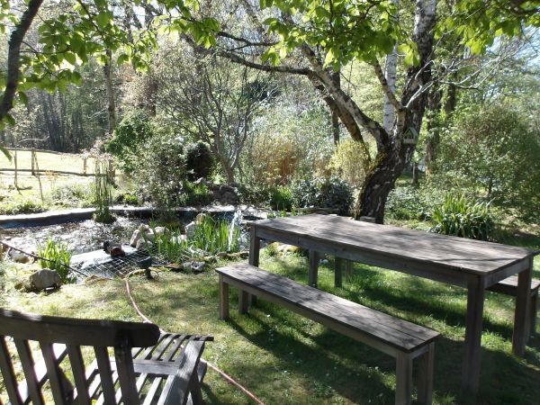 La cour de récréation (jardin paysagé)